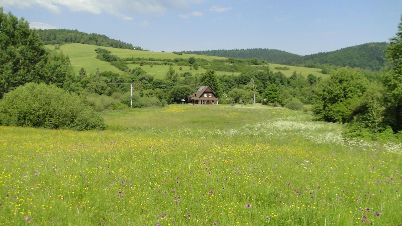 Вилла Gutkowa Koliba Jasliska Экстерьер фото
